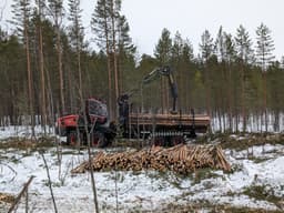 Две новые модели лесозаготовительной техники КамАЗ начали тестировать в Карелии