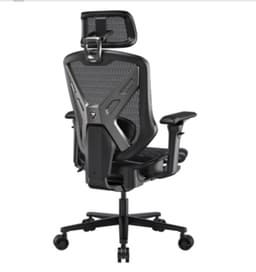 Alexander DU: "Online Sales at Cougar are Growing Even Faster"