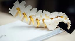 В Перми научились точно выявлять боли в спине