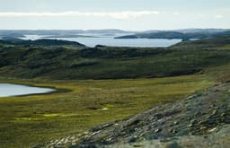 Спутники засекли «таинственный туннель» на ядерном полигоне РФ на Новой Земле, его связали с испытаниями ракеты «Буревестник»