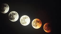 Луна закроет Нептун, Сатурн и Плеяды: в октябре ожидается сразу шесть лунных затмений