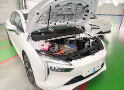 В России запустили онлайн-продажу электромобилей