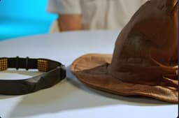 Like in "Harry Potter": A "Sorting Hat" for Choosing a Profession and Educational Institution Created in Moscow