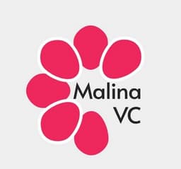 20 Million Ruble Prize from Malina VC to be Awarded to Startup Competition Winner at eXit 2.0 Conference