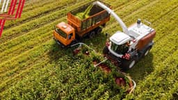 Скорость уборки кукурузы увеличилась в 3 раза: названы преимущества комбайна F 2650 от «Ростсельмаша»