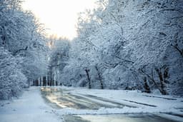 МГУ подвел климатические итоги 2024 года: самый теплый за всю историю наблюдений