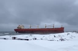 В Сахалинской области на мель из-за шторма село грузовое судно с 700 тоннами мазута