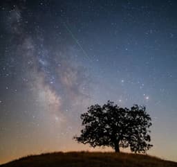 Метеорная весна начинается: первый звездопад Лириды будет виден в небе в конце апреля 