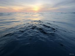 Проблема не устранена: мазутное загрязнение может распространиться в Черном море к концу апреля