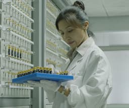 NANFU: Leading Premium Player Enters the Russian Battery Market