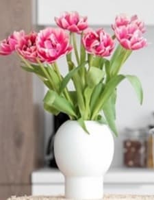 Domfy Brand Finds Out What Women Want for March 8th