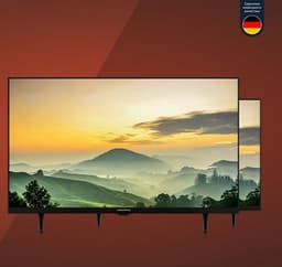 PROFDISPLAY Obtains Exclusive Rights to Distribute Grundig Hospitality Solutions in Russia