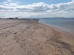 Новые выбросы мазута нашли на пяти участках побережья Анапы