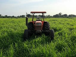 Locals Won't Buy – It's Too Expensive: Agricultural Machinery Supplies Planned from Russia to Nigeria