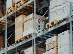 Businesses Actively Invest in Robotization: Companies Seek Salvation from Staff Shortages and Rising Costs