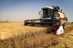 «Мощный двигатель и маневренность»: 12 российских комбайнов VECTOR 410 начали уборку урожая в Иране