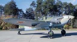 Советский штурмовик Ил-2 внезапно появился в музее в США: происхождение самолета не раскрывается
