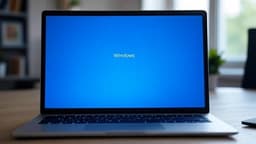 No one plans to pay 90.9 million rubles: Microsoft's Russian "daughter" decided to go bankrupt