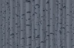 "Basis" and "Beresta RK" to combine solutions for data backup and recovery