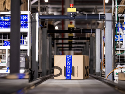 Ozon Relaunches B2B Showcase for Business Clients