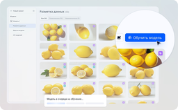 VisionLabs Presents Luna Line Platform for Creating AI Models Without Coding