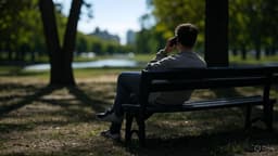 Wildberries может запустить виртуального оператора мобильной связи