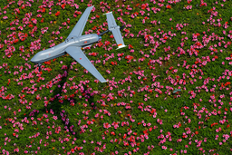 Заменят истребители: дроны «Герань» предложили вооружить ракетами «воздух-воздух» Р-60М