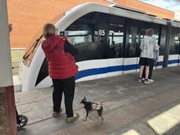 Монорельс Москвы прекращает работу 28 июня: с 2027 года здесь откроют первый в России круглогодичный парк на высоте