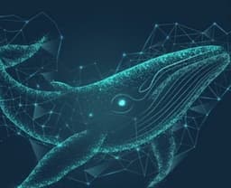 KIT: Russian Market of Network Solutions