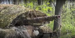  Модернизированные танки Т-73Б3М заменили собой артиллерию: орудие 2А46М-5 показало высокую точность