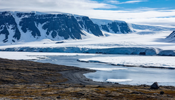 Специалисты плавучего университета провели сбор образцов для идентификации новых видов молочнокислых бактерий 