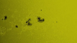 Hell is not on Earth: Scientists from the Space Research Institute of the Russian Academy of Sciences report a hundred new spots on the Sun