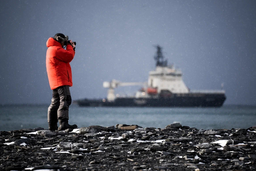 What to Watch on the Weekend: "First Technical" Recommends the Russian Documentary – "To the Arctic"