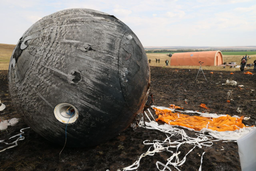 Fell Victim to Science: Ten Mice That Went to Space on the Bion-M Satellite Died