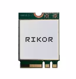 Ricor's Wi-Fi 6 Module Included in the Ministry of Industry and Trade's Register