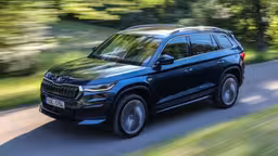 В Россию привезли сотни новых Skoda Kodiaq по цене от 2,5 млн рублей 