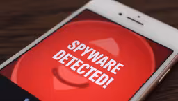 Sends viruses to all contacts: Russians warned about ClayRat spyware