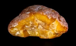 Record-Breaking Amber Found in Kaliningrad — Largest Nugget in the Last 4 Years