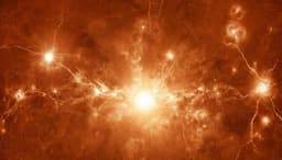 О самых мощных вспышках на Солнце в 2026 году предупредили учёные РАН