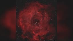 Космос тоже дарит цветы: Роскосмос показал туманности к 8 Марта