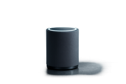 En el Consejo de Derechos Humanos instan a no comprar altavoces inteligentes por el riesgo de espionaje de los estafadores