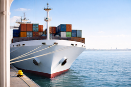 Регистрацию судов могут упросить в России: часть документов предлагают убрать из обязательных