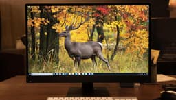 «ЛаньGPT» протестировали в 20 вузах и готовы вывести на рынок