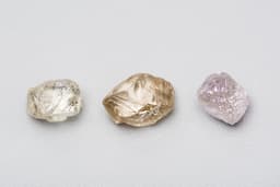 Розовый бриллиант за 56 млн рублей: АЛРОСА представила эксклюзивный драгоценный камень в Петербурге