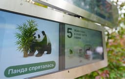 Где панда Катюша? В Московском зоопарке её теперь найдет искусственный интеллект