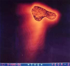 Снимок ядра кометы Галлея, полученный с помощью&nbsp;«Веги-2»