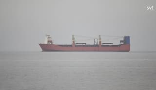 Suecia detiene el buque portacontenedores ruso "Adler"