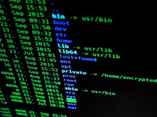 The public sector became the leader in data leaks in 2025