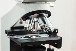 Perm Scientists Develop New Heat-Resistant Compounds for Drug Creation