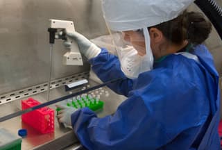Safe Nanoparticles for Tissue Regeneration Developed at TPU